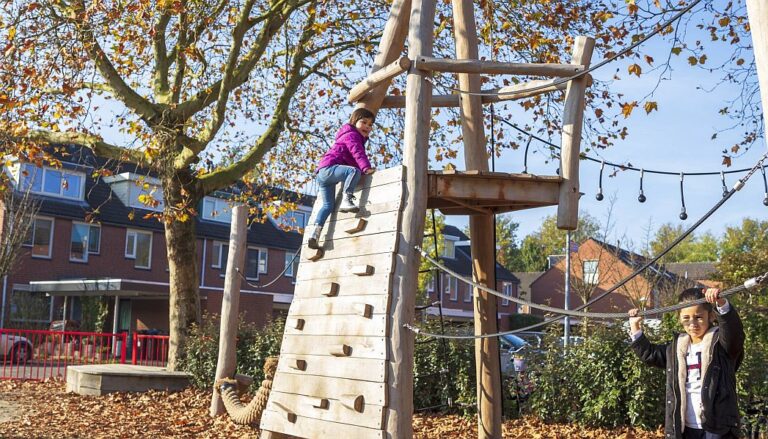 Robinia speeltoestel klimtoestel op schoolplein in openbare ruimte