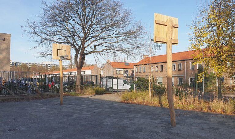 robinia basketbalpaal op schoolplein