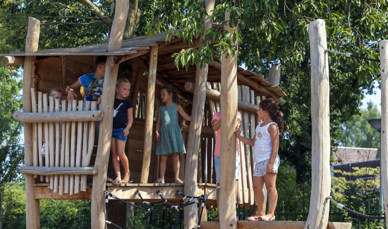 Boomhut van Robinia hout voor natuurlijk spelen en een klimtoestel voor een schoolplein