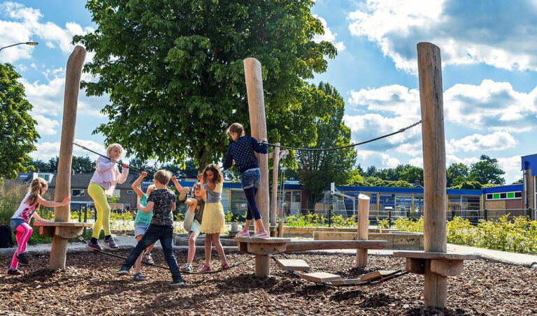 Natuurlijke balanceercombinatie van Robinia hout op speelplek
