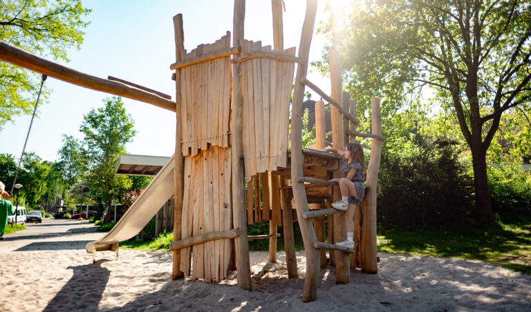 Speelcombi Het Loo met dubbele schommel